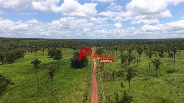 FAZENDA A VENDA 