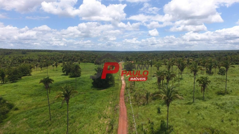 FAZENDA A VENDA 