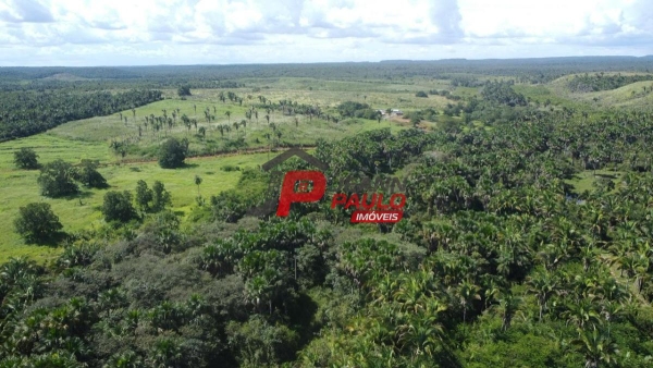 FAZENDA A VENDA 