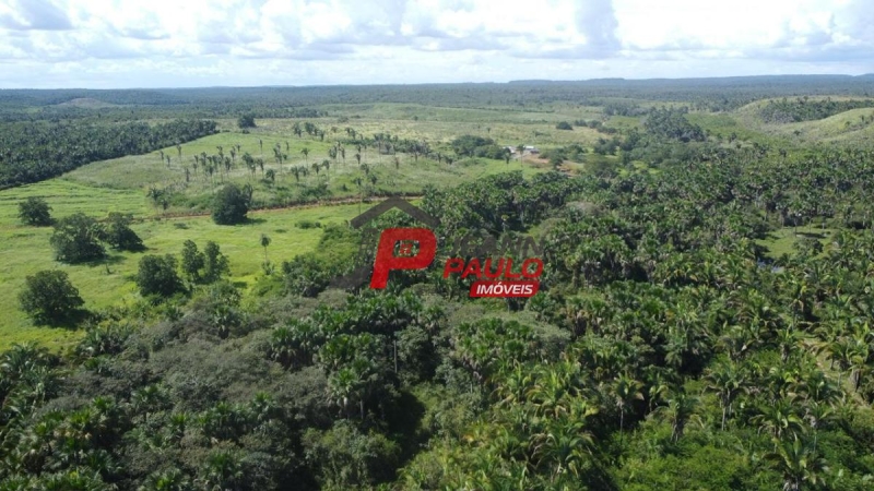 FAZENDA A VENDA 